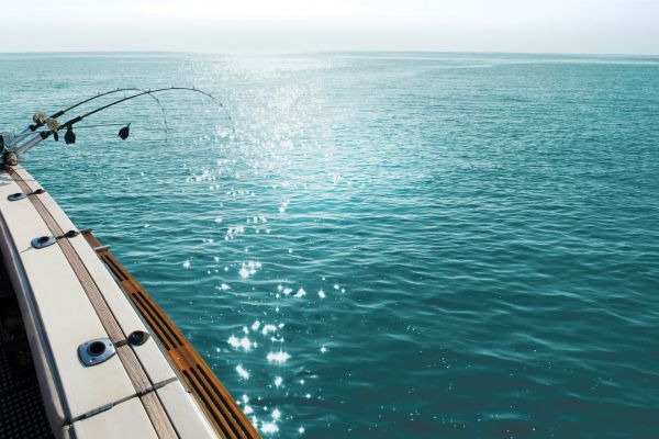 Hotel Amara Cay Resort (Islamorada, Village of Islands)
